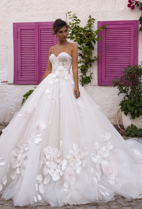 saflor-front-horizont