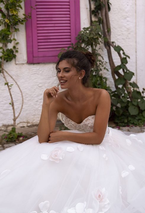 saflor-front-horizont2